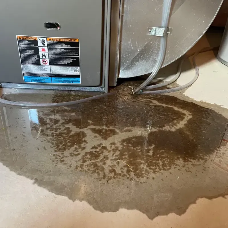 Appliance Leak Cleanup in East Syracuse, NY